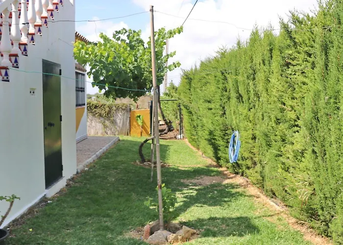 Pilahito Conil De La Frontera